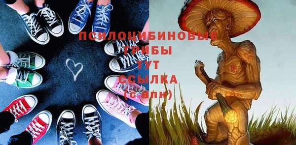 круглые Аркадак