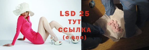 круглые Аркадак