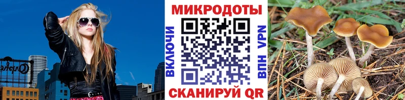 Псилоцибиновые грибы мухоморы  Осташков 